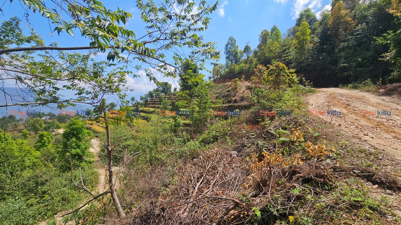 Urgent Sale: 4.5 Ropani Land Near Jelsi View Point – Fully Open Area,